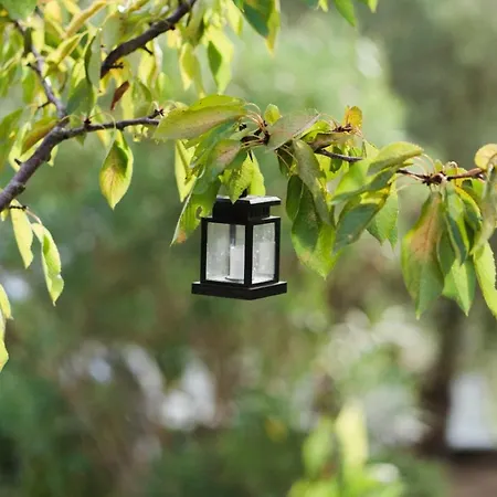 Podere Borgaruccio Farm stay *