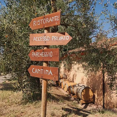 Podere Borgaruccio Farm stay Peccioli