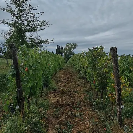 Podere Borgaruccio *