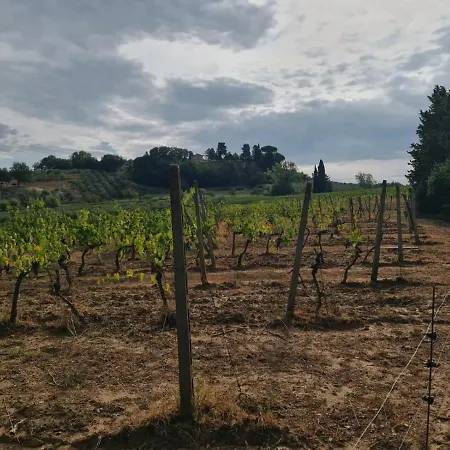 Podere Borgaruccio Farm stay Peccioli