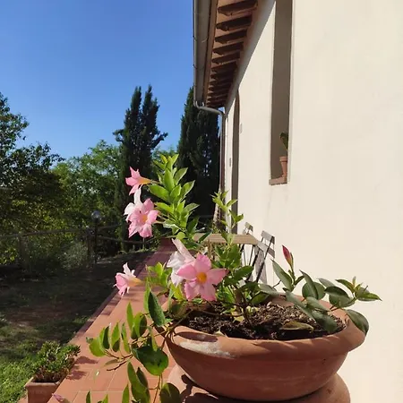 Farm stay Podere Borgaruccio