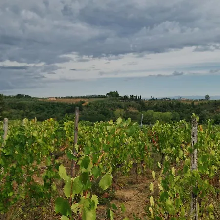 Farm stay Podere Borgaruccio *