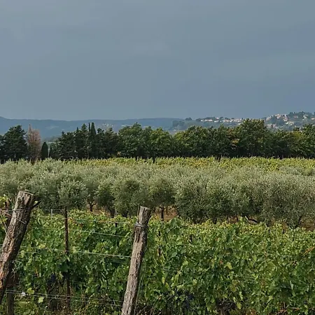 Podere Borgaruccio 페치올리