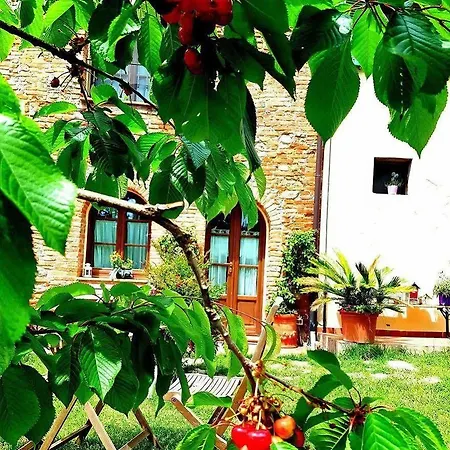 Podere Borgaruccio *